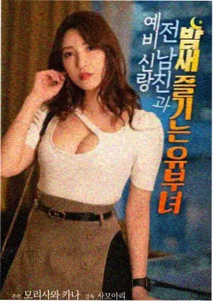 数据速览配图，档案统计与校订流程示意